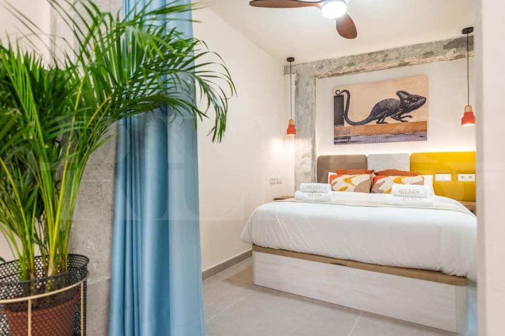Appartement Stylish With A Street Art Touch By Rems *